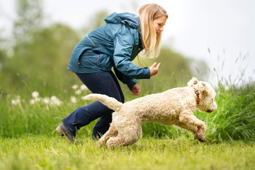 Auslastung im Hundetraining